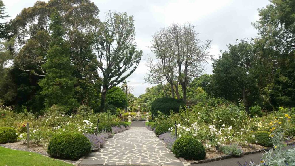 cobbled stone pathway leading through manicured geelong botanical gardens